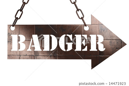 badger word on metal pointer 14471923