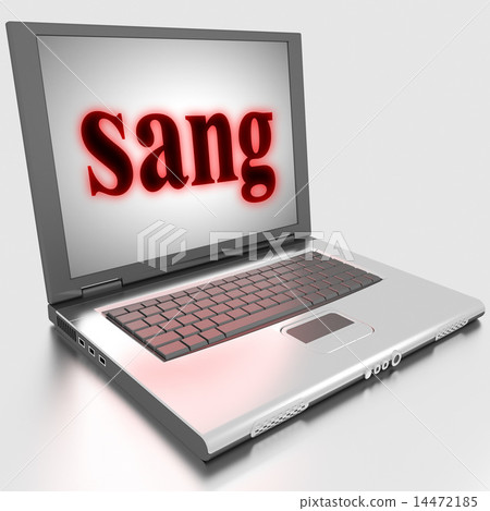 sang word on laptop 14472185