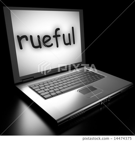 Word on laptop 14474375
