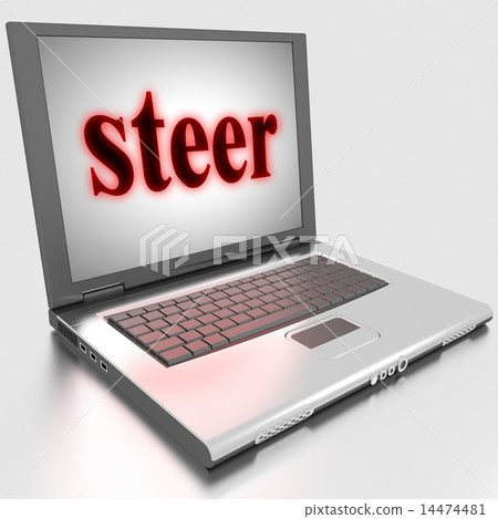 steer word on laptop 14474481