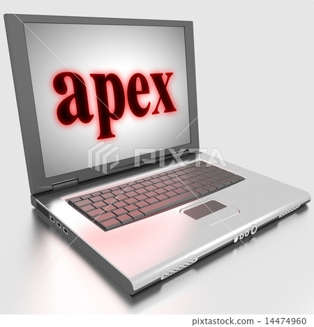 apex word on laptop apex word on laptop 14474960