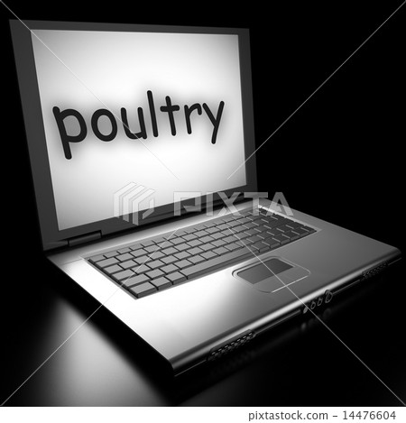 Word on laptop Word on laptop 14476604