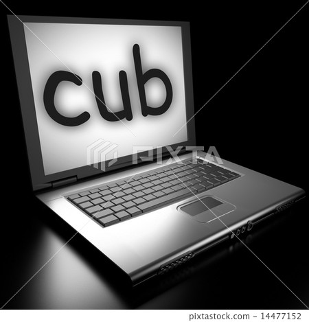 cub word on laptop cub word on laptop 14477152