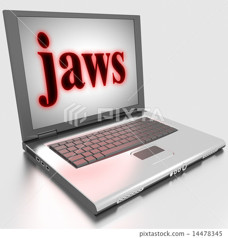 jaws word on laptop 14478345