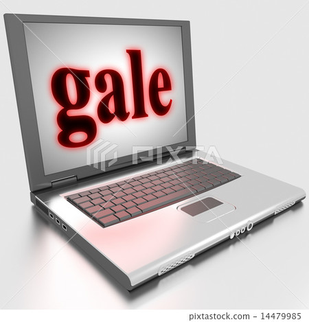 gale word on laptop 14479985
