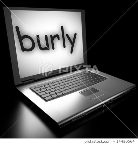 burly word on laptop burly word on laptop 14480564