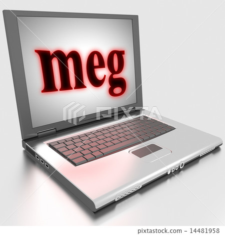 meg word on laptop 14481958