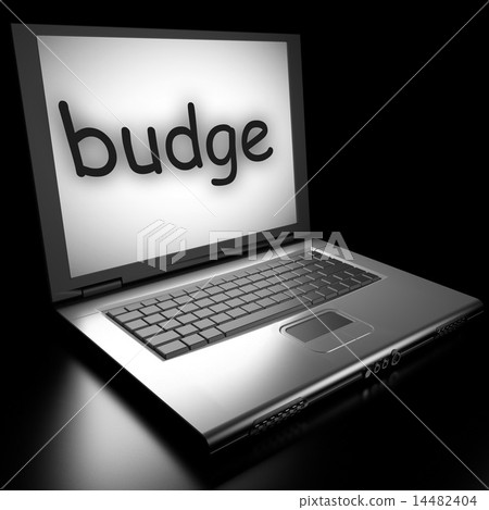 budge word on laptop 14482404