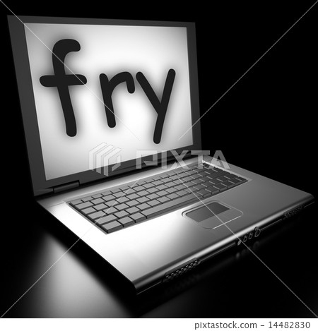 fry word on laptop 14482830