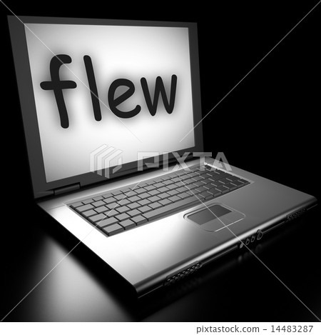 flew word on laptop flew word on laptop 14483287
