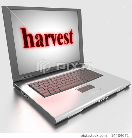 harvest word on laptop 14484671