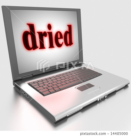 dried word on laptop 14485000