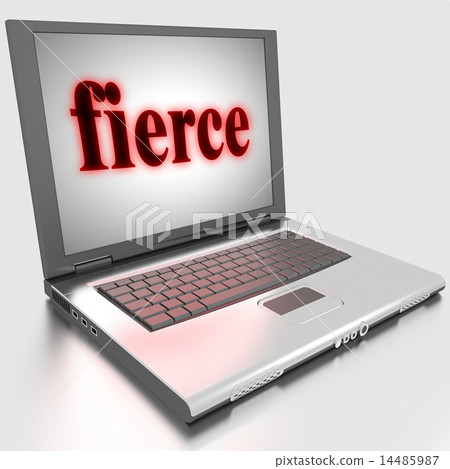 fierce word on laptop 14485987
