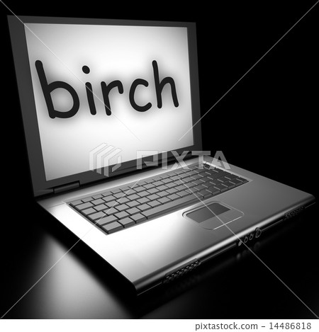 birch word on laptop 14486818