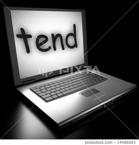 Word on laptop 14486883
