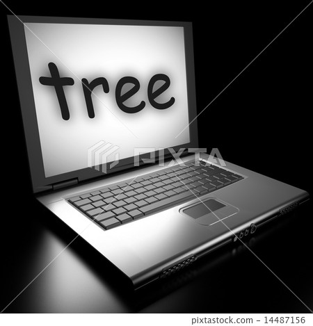 Word on laptop Word on laptop 14487156
