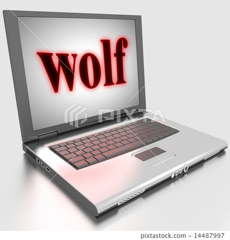 wolf word on laptop wolf word on laptop 14487997