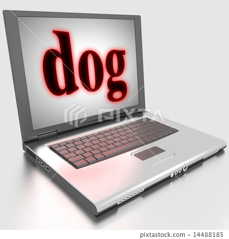 dog word on laptop dog word on laptop 14488185