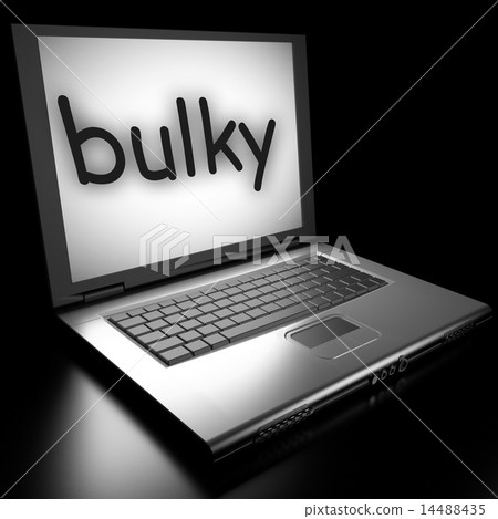 bulky word on laptop 14488435
