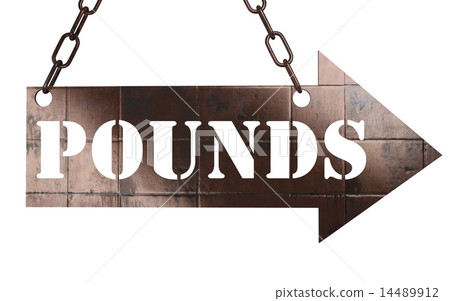 pounds word on metal pointer 14489912