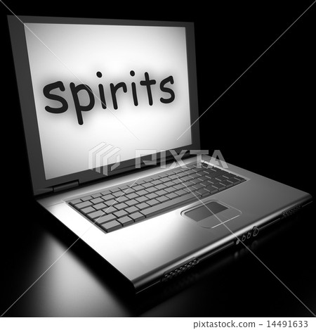 Word on laptop 14491633