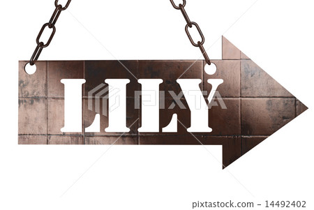 lily word on metal pointer lily word on metal pointer 14492402