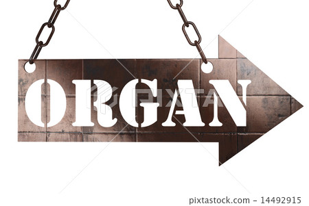 organ word on metal pointer organ word on metal pointer 14492915