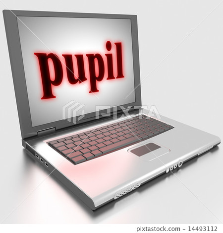 pupil word on laptop pupil word on laptop 14493112