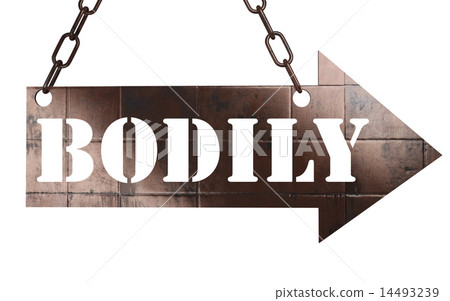 bodily word on metal pointer 14493239