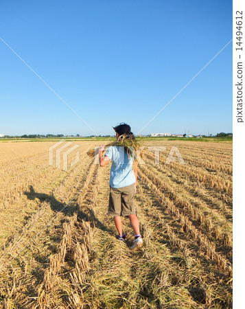 Harvest 5 Harvest 5 14494612