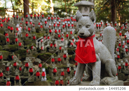 Toyokawa Inari shrine fox 14495206