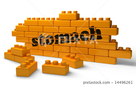 stomach word on yellow brick wall 14496261