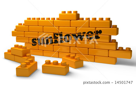 sunflower word on yellow brick wall 14501747