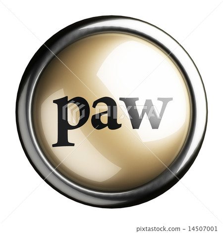 paw word on isolated button 14507001