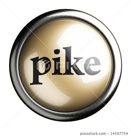 pike word on isolated button pike word on isolated button 14507759