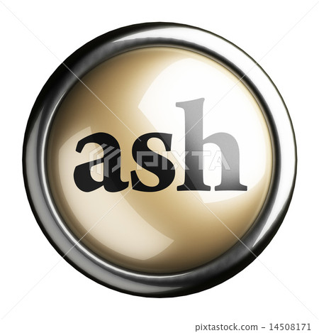 ash word on isolated button 14508171