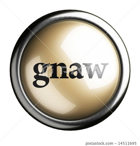gnaw word on isolated button 14511695