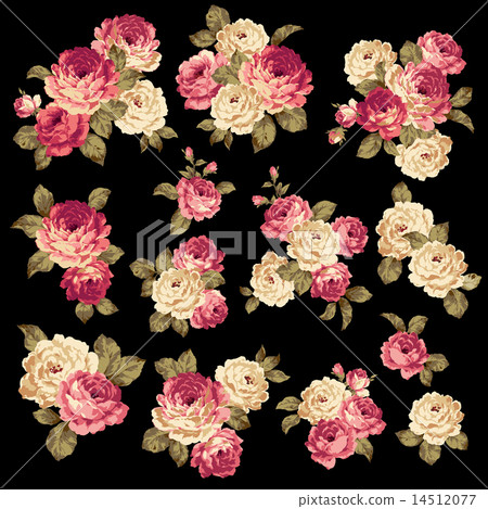 玫瑰圖 玫瑰圖 14512077