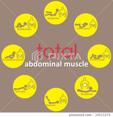 adbomianal muscle on yellow circle 14513373