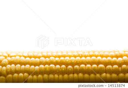 Grains of ripe corn background Grains of ripe corn background 14513874
