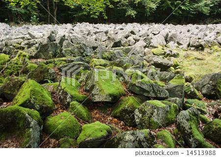 Big stones in the andesite stone sea 14513988