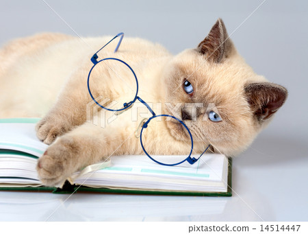 Tired of reading Tired of reading 14514447