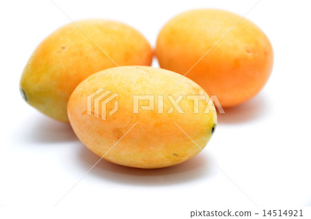 Sweet Marian plum 14514921