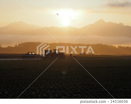 Yatsugatake morning 4 Yatsugatake morning 4 14516036