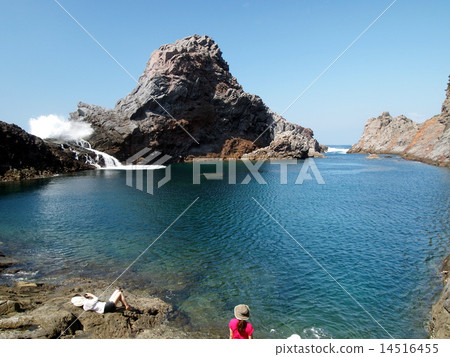 Kozushima Senbaikei Kozushima Senbaikei 14516455