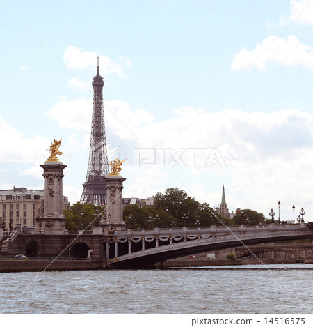 Alexander 3 bridge in Paris. France. 14516575