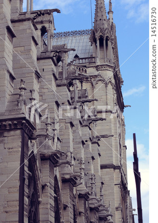 Architectural details of Cathedral Notre Dame de Paris. Architectural details of Cathedral Notre Dame de Paris. 14516730
