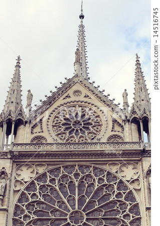 Architectural details of Cathedral Notre Dame de Paris.  14516745