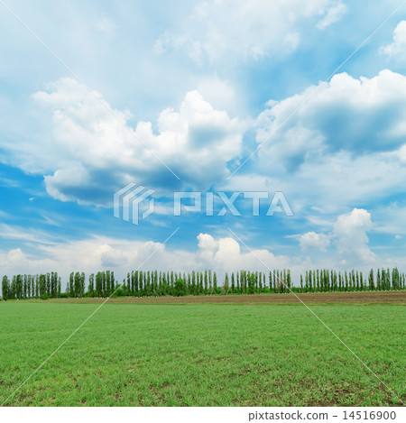 low clouds in blue sky over green field low clouds in blue sky over green field 14516900