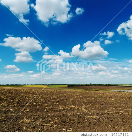 blue cloudy sky over plowed field blue cloudy sky over plowed field 14517121
